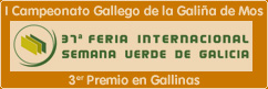 Premio Gallina de Mos